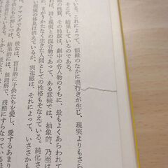 『ガラスの動物園』Ｔ・ウィリアムズ　新潮文庫の画像