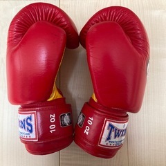 TWINS  ボクシンググローブの画像