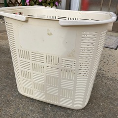 ＊カゴ＊の画像