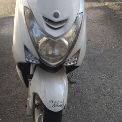 マジェスティS155の画像