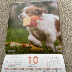 2026年カレンダーの画像