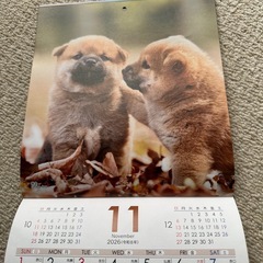 2026年カレンダーの画像