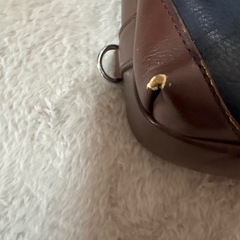 ボディバッグ
の画像