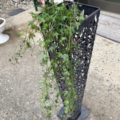 ＊ガーデン用品＊の画像