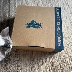 mont-bellモンベル　スノーブーツ19cm（使用回数2回）の画像