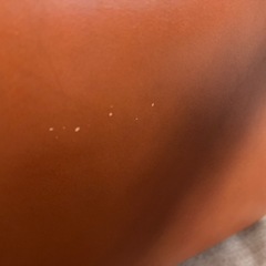 ソメスサドル　ショルダーバッグ　ほぼ新品！の画像