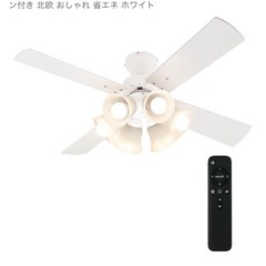 シーリングファン
の画像