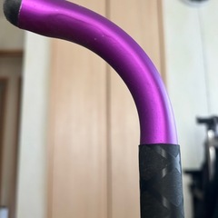 ディスプラウト　DSラバーランディングネットの画像