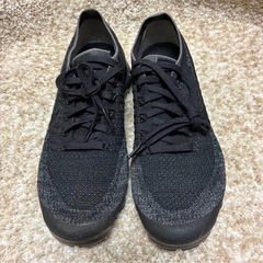 ヴェイパーマックス　　フライニット　25.0の画像