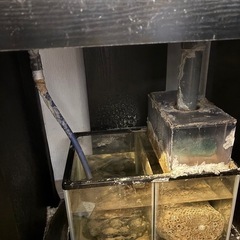 オーバーフロー水槽の画像