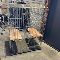 猫のゲージの画像