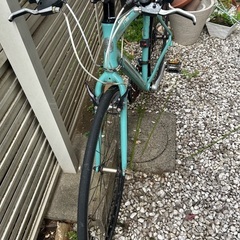 ビアンキCAMELEONTE1 47 チェレステの画像