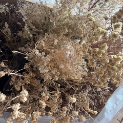 ドライフラワーの画像