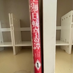 上海白蛇亭奇譚の画像