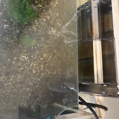 魚6匹＋水槽の画像