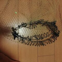 がまかつ　チタンたも枠の画像