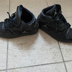 ナイキ エアジョーダン 26.5cmの画像