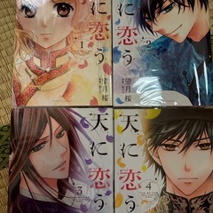 天に恋うの画像