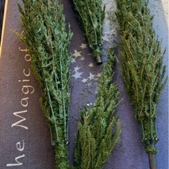 クリスマスツリー 3m　の画像