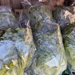 全品税込100円⭐︎無人販売所の画像