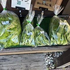 全品税込100円⭐︎無人販売所の画像