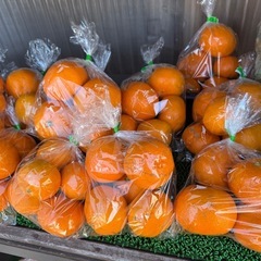 全品税込100円⭐︎無人販売所の画像