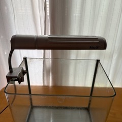 ガラス 水槽 ライト付きの画像