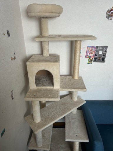 キャットタワー