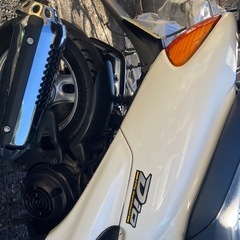 HONDA  DIO af34 7.2PS 美品の画像