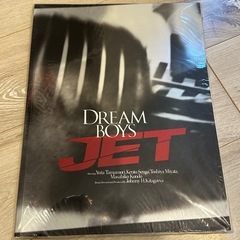 玉森裕太グッズ　ドリームボーイズパンフレットの画像