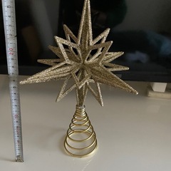 トップスター　ベツレヘム　Lの画像
