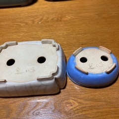 山野草　鉢　いろいろの画像