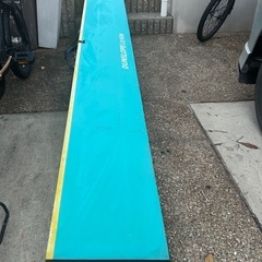 ★ 介護用品 ダンロップ ダンスロープ ライト スリムの画像