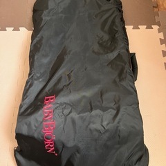 【カバー付き】ベビービョルン  バウンサーの画像