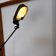 フロアランプの画像