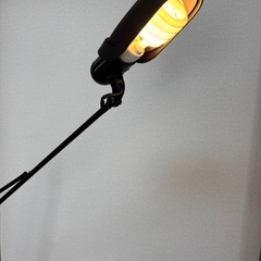 フロアランプの画像