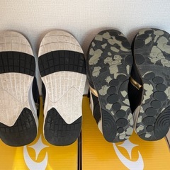 ムーンスター子供スニーカーの画像