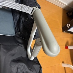 イングリッシーナの画像