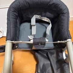 イングリッシーナの画像