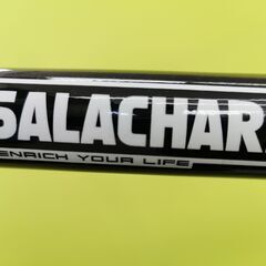 ☆美品☆SALACHARI / サラチャリ 電動アシスト自転車 21インチ 変速あり【ユーズドユーズ名古屋天白店】JO12-6の画像