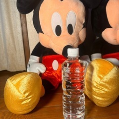 ミッキーぬいぐるみ2匹セット！の画像