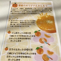 【お取り置きです】愛媛紅まどんな🍊5玉の画像
