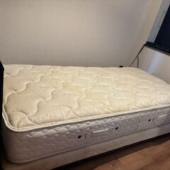 Sealy（シーリー）シングルベッドの画像