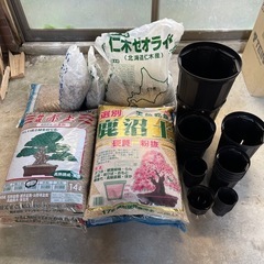 グラキリス現地球 他
の画像