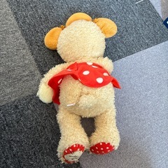 カドリーベア　Mサイズ　タグなしの画像