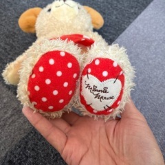 カドリーベア　Mサイズ　タグなしの画像