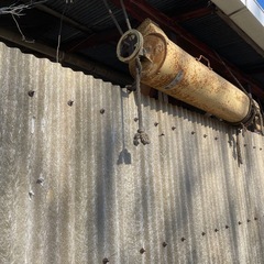 水揚げ用　バーチガルの画像