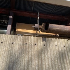 水揚げ　パーチガルの画像