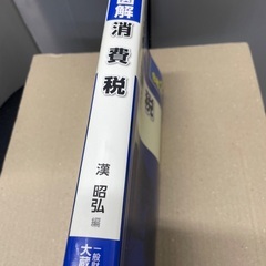  図解　消費税(令和２年版)／漢昭弘(編者)の画像