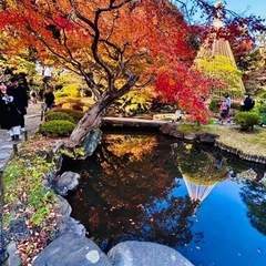 異文化交流したくて渋谷に行ってみたら楽しかった